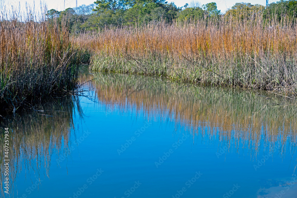 Smooth cordgrass in a tidal salt marsh in the low country of South Carolina. Smooth cordgrass in a tidal salt marsh in the low country of South Carolina.