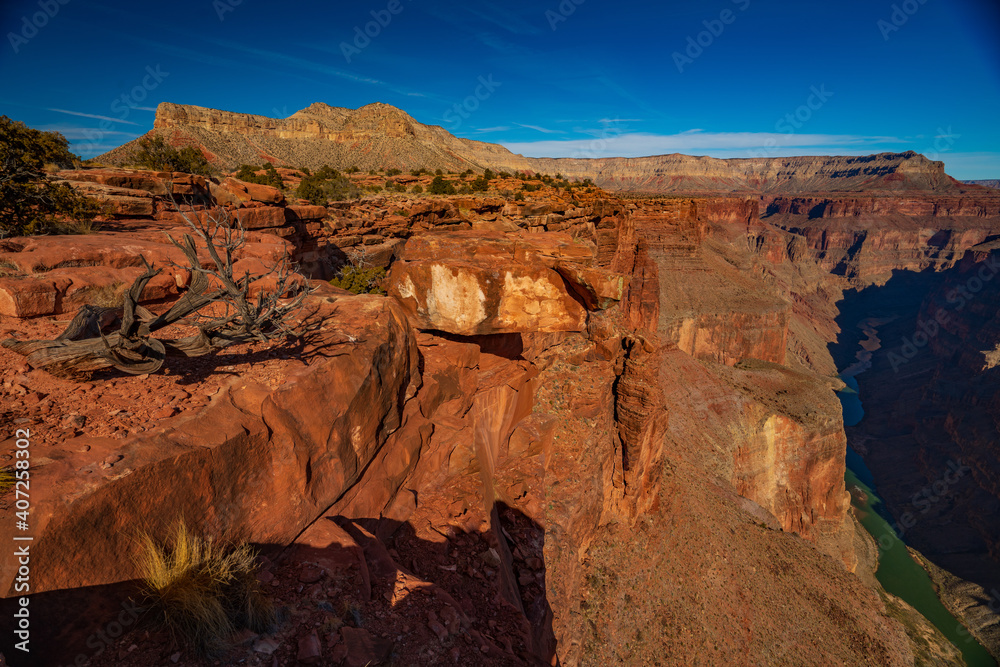 Grand Canyon from Toroweap Overllok
