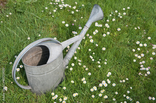 Metal watering can on lawn in spring blooming garden photo