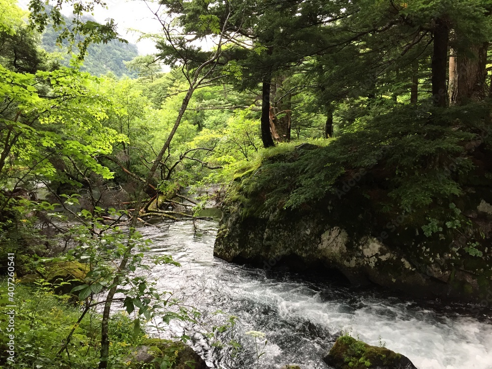 Japan River