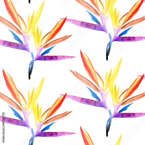 close seamless pattern of multicolored strelitzia flower hand-painted in watercolor on a white background. tropical strelitzia bright flower petals blue purple orange red yellow on white background fo