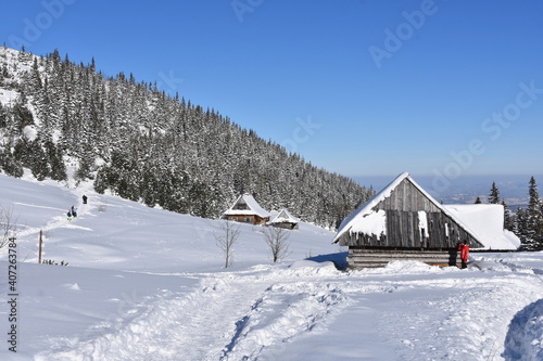 Fototapeta Naklejka Na Ścianę i Meble -  Turyści na szlakach w Tatrach, Dolina Gąsienicowa w Tatrzańskim Parku Narodowym, zimowe szlaki turystyczne