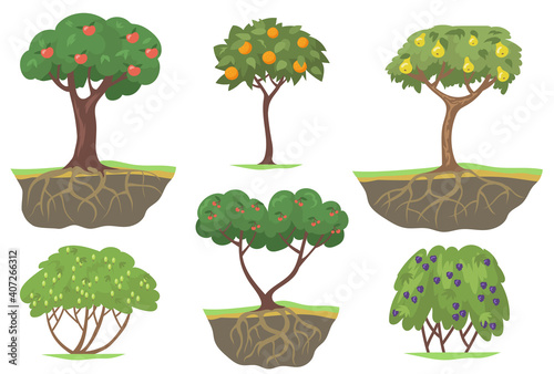Green fruit trees and berry bushes flat set for web design
