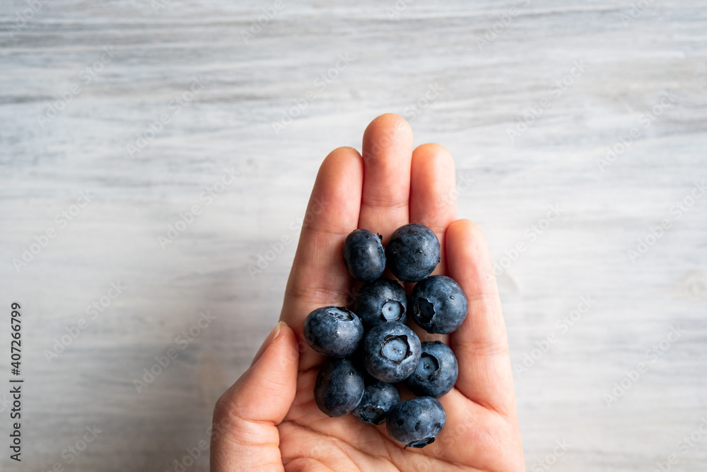 Hand hold Harvest summer jam ingredient organic bio tasty blueberry healthy natural purple fruit berry for sweet dessert vitamin antioxidant snack with fresh wet water drop Hand hold Harvest summer jam ingredient organic bio tasty blueberry healthy natural purple fruit berry for sweet dessert vitamin antioxidant snack with fresh wet water drop