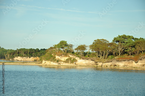 Summertime scenery on Brownsea Island, Dorset, England.