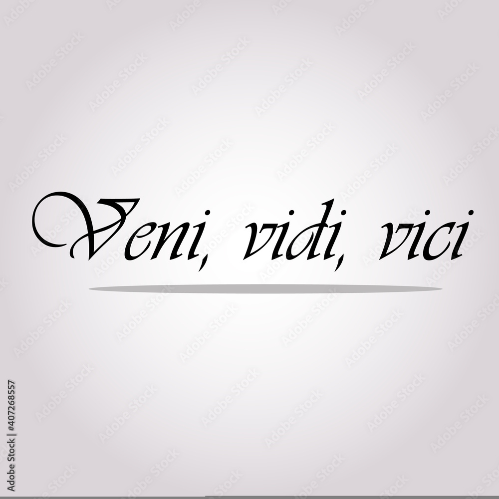 Veni Vidi Vici Latin Alıntı Posteri Çeviri Geldim Gördüm Fethettim İlham  Verici Alıntı Stok Vektör Sanatı & Alıntı - Yazı'nin Daha Fazla Görseli -  iStock