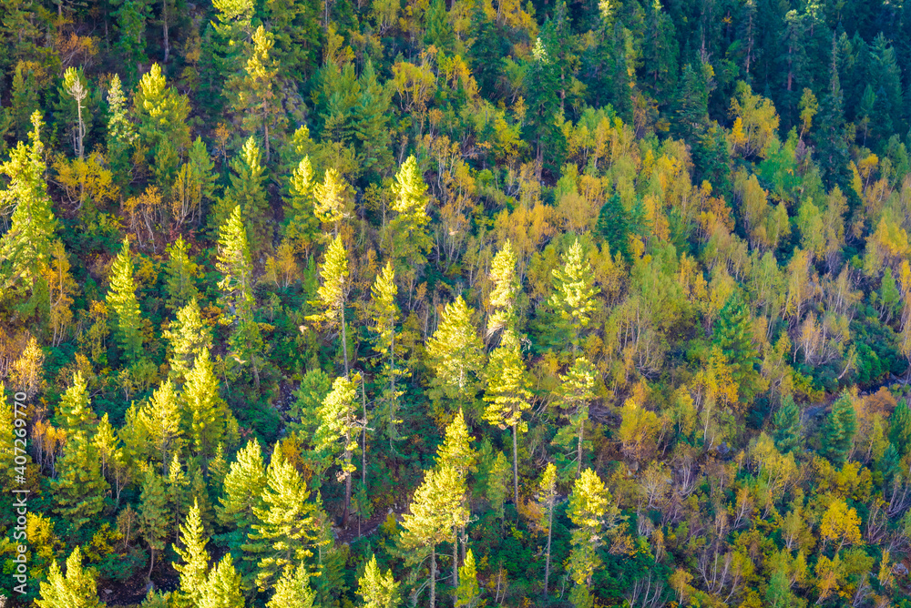 Autumn forest landscape of Himalayas at Chitkul, Sangla Valley, Himachal Pradesh, India. Autumn forest landscape of Himalayas at Chitkul, Sangla Valley, Himachal Pradesh, India.