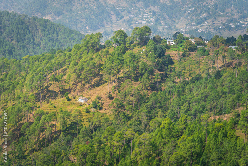 Panoramic view from Binsar  Uttarakhand  India.