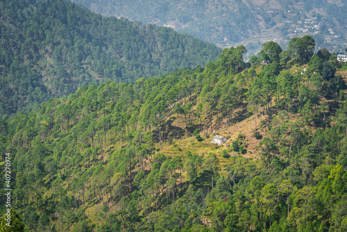 Panoramic view from Binsar, Uttarakhand, India.