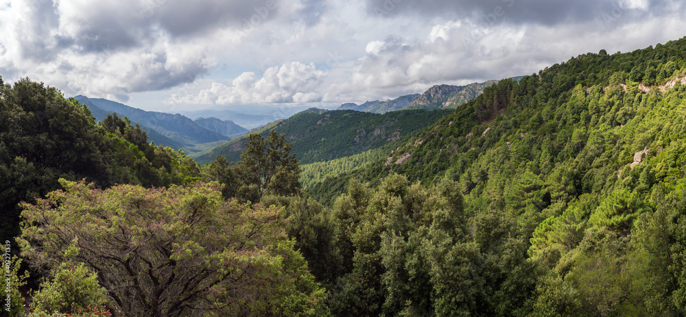 Panoramic view of beautiful landscape of Supramonte Mountains with green hills, trees and mediterranean forest vegetation. Ogliastra, Sardinia, Italy. Summer cloudy sky.