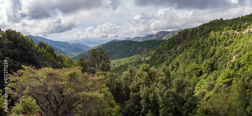 Panoramic view of beautiful landscape of Supramonte Mountains with green hills, trees and mediterranean forest vegetation. Ogliastra, Sardinia, Italy. Summer cloudy sky.