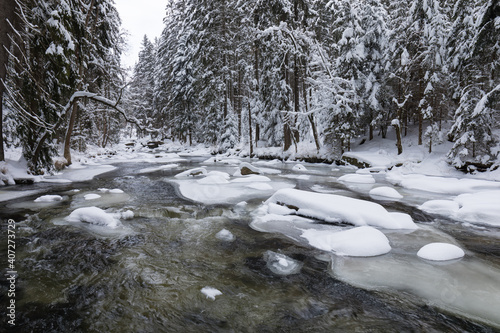 Wild river in winter with old stone bridge at Zemska Brana nature reserve, Orlicke hory, Eagle mountains, Eastern Bohemia Czech republic. Beautiful frosty day. Snowy weather in mountain. Most popular photo