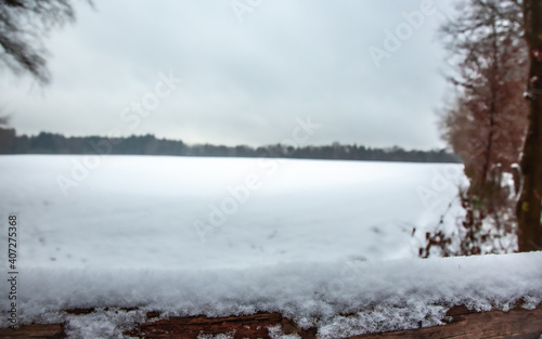 Winterwanderung am Gelterswoog, im Schnee, Kaiserslautern, Hohenecken, Strandbad, Wald , Naherholungsgebiet photo