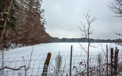 Winterwanderung am Gelterswoog, im Schnee, Kaiserslautern, Hohenecken, Strandbad, Wald , Naherholungsgebiet photo