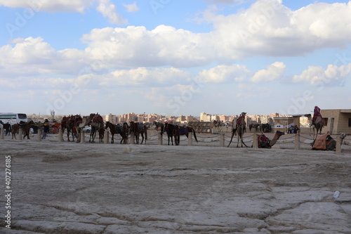 People travel on horses and camels in the desert