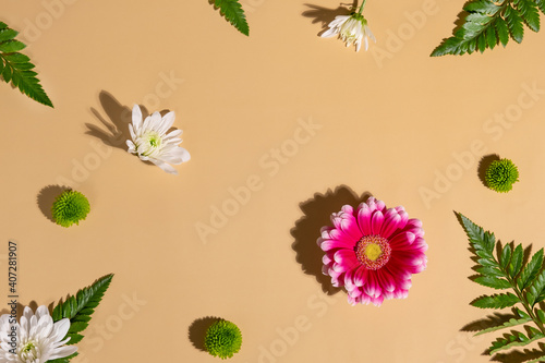 Floral background with hard light and shadows with pink white flowers and green leaves. Spring flat lay, flowers pattern texture, top view.