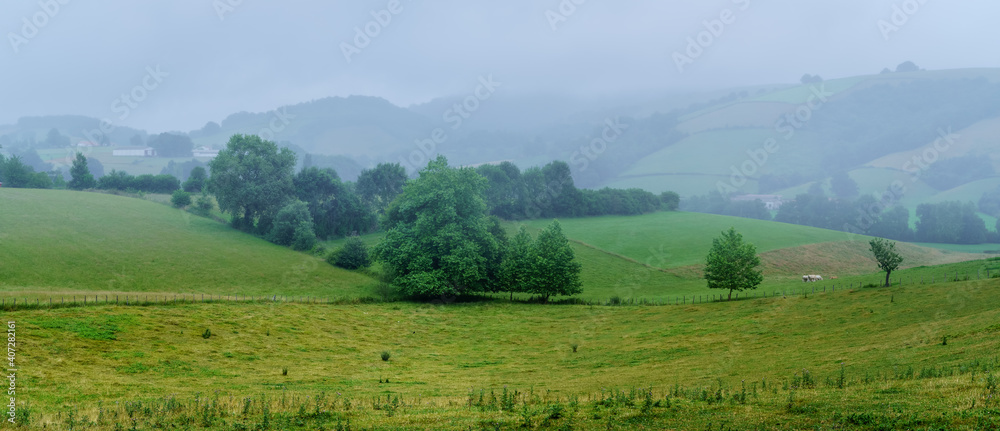 Fog landscape in the countryside of the French Basque country.
