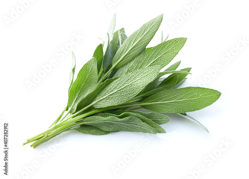 Sage leaves in closeup on white background