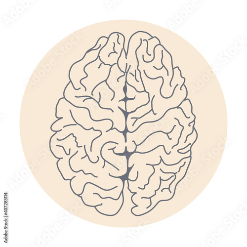 Human brain in circle. Medicine, anatomy, physiology, health. Vector illustration. Healthcare poster or banner template.