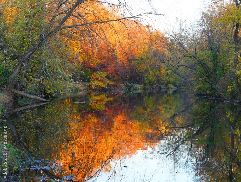 View of fall leaves reflecting in the water of the Delaware-Raritan canal in Princeton, New Jersey