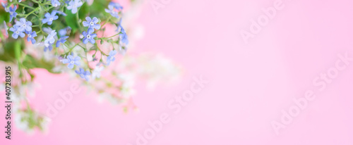 Floral spring background. White and blue flowers on a pastel pink background. Spring banner. Top view  copy space.