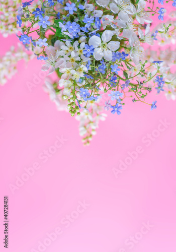 Floral spring background. White and blue flowers on a pastel pink background. Top view, copy space.