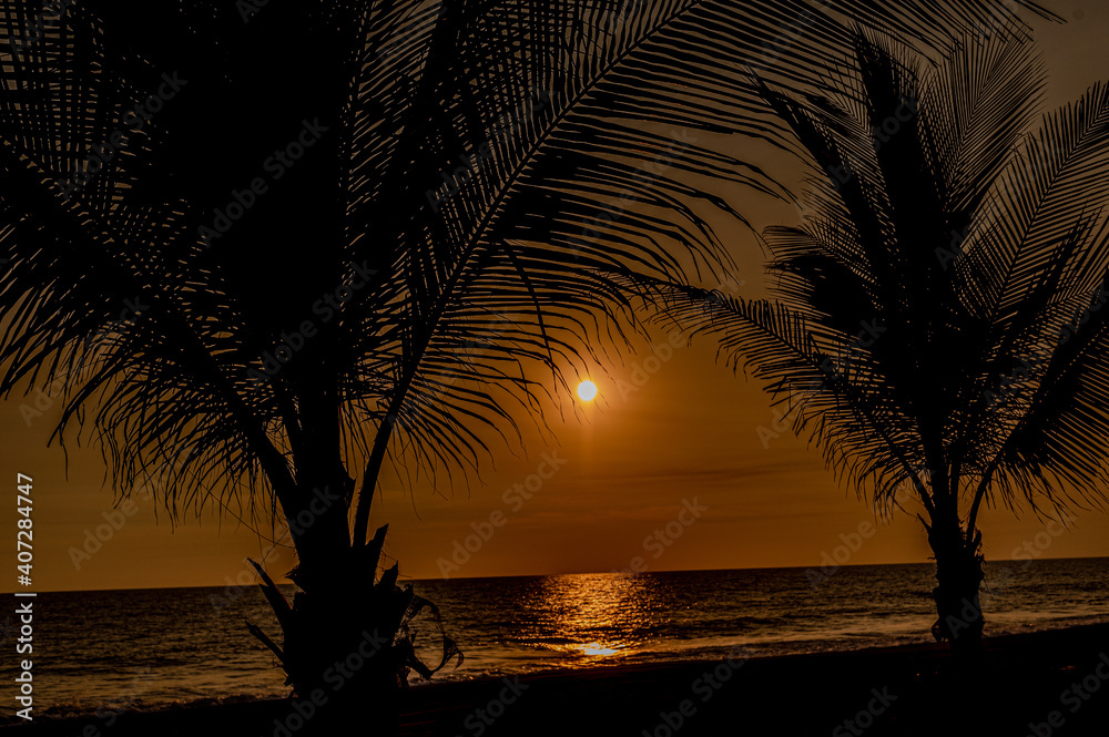 Siluetas de palmeras en el atardecer frente al mar 
