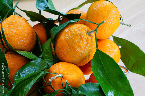 Satsuma orange mandarin fruit with leaves