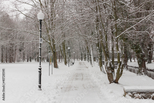 Fototapeta Naklejka Na Ścianę i Meble -  Park dworski w Iłowej w zimowej scenerii.