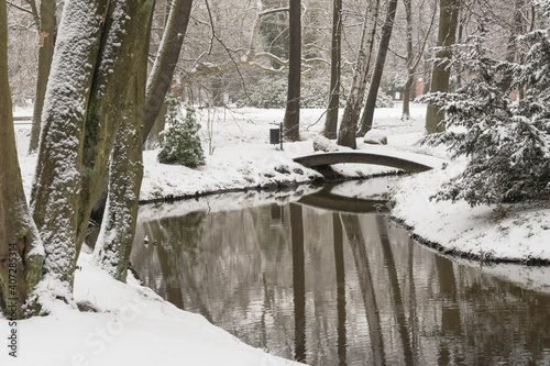 Fototapeta Naklejka Na Ścianę i Meble -  Park dworski w Iłowej w zimowej scenerii.