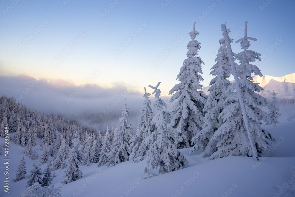 Winter landscape of the Tatra Mountains.