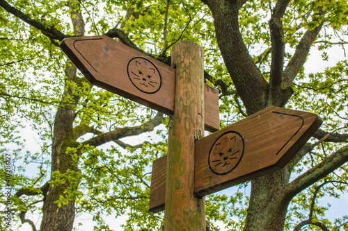 Sticker Signpost of Wildnis-Trail in Eifel National Park, Germany