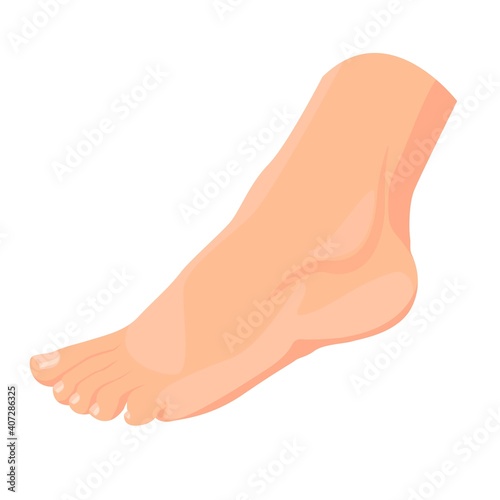 Woman's legs side view. Beautiful foot. Vector illustration. Cartoon style.
