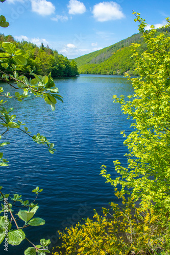 Rursee at Eifel National Park, Germany. Scenic view of lake Rursee and surrounded green hills in North Rhine-Westphalia