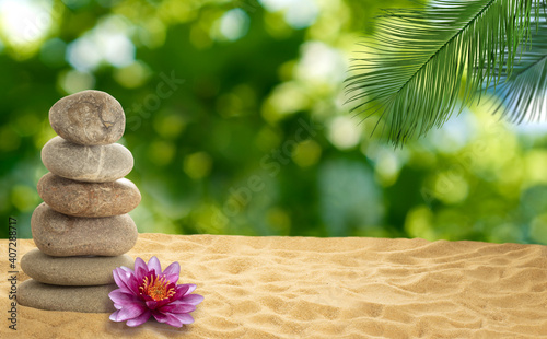 Photography image of stones and lotus flower on the sand close-up