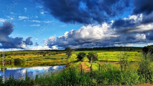 landscape with lake