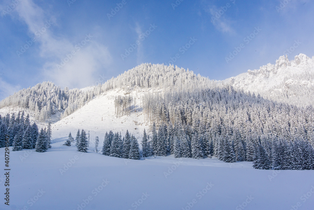 Mountain valley in winter. Chochołowska Valley, Tatra Mountains, Poland