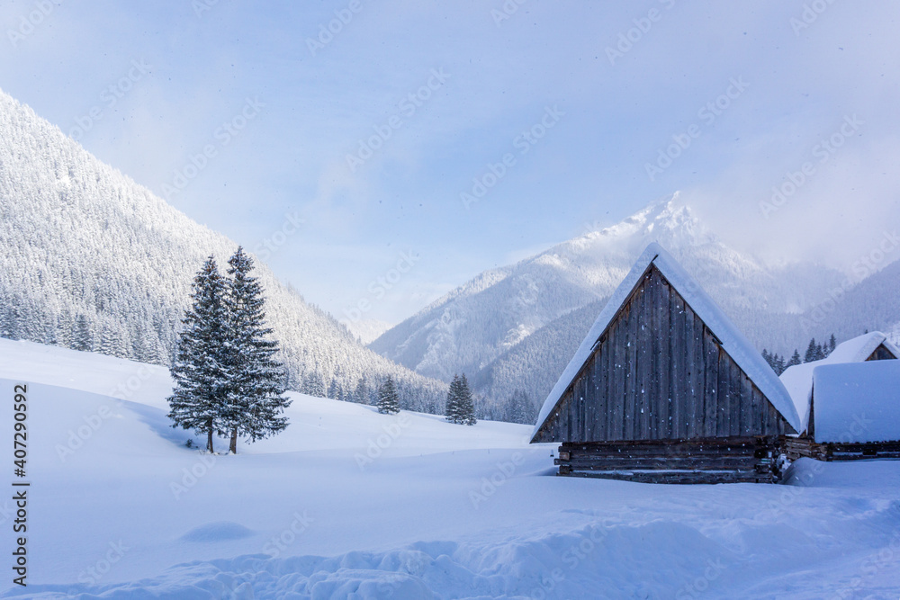 Mountain valley in winter. Chochołowska Valley, Tatra Mountains, Poland