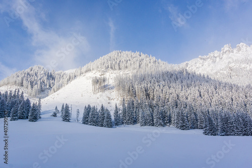 Mountain valley in winter. Chocho  owska Valley  Tatra Mountains  Poland