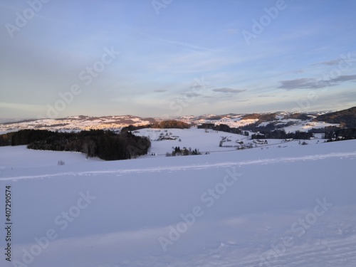Schneelandschaft