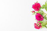 Valentines day composition with red peonies on a white background
