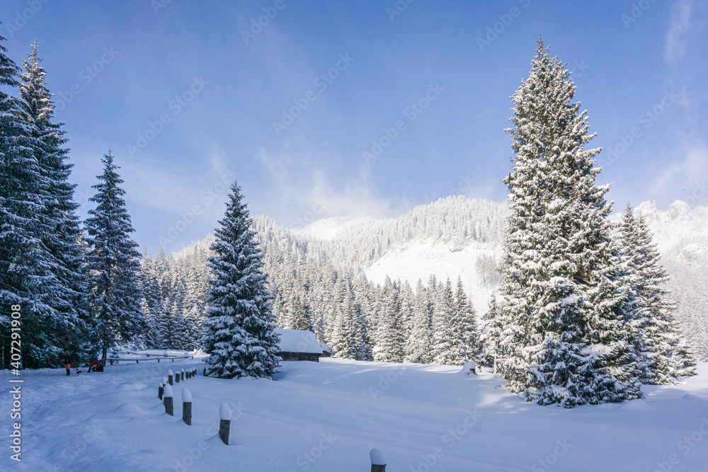 Obraz premium Mountain valley in winter. Chochołowska Valley, Tatra Mountains, Poland