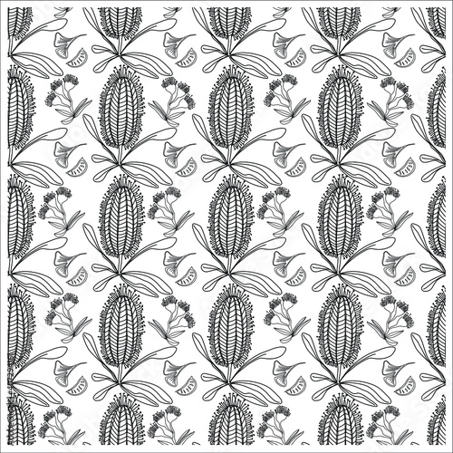 Seamless pattern of hand drawn Australia banksia flower. Wild flower seamless pattern on white background. Exotic print. Vintage motives. for cards, posters, postcard design, logo, for printed matter.