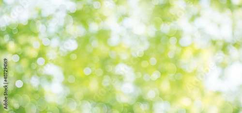 Fresh healthy green bio background with abstract blurred foliage and bright summer sunlight and a central copyspace for your text or advertisment.