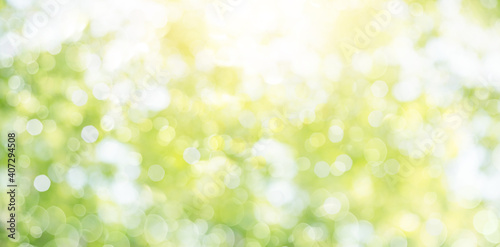 Fototapeta Naklejka Na Ścianę i Meble -  Fresh healthy green bio background with abstract blurred foliage and bright summer sunlight and a central copyspace for your text or advertisment.