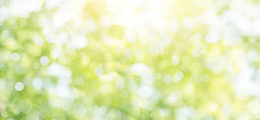 Fresh healthy green bio background with abstract blurred foliage and bright summer sunlight and a central copyspace for your text or advertisment.
