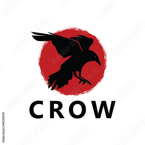 Crow bird logo template design