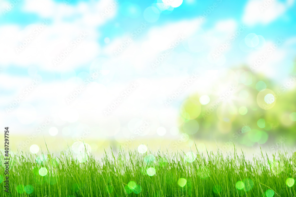 Green bokeh grassland in front of sunny blue heaven background and forrest.