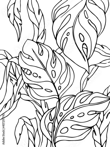 vector ilustration coloring page with tropical plants