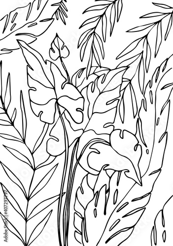vector ilustration coloring page with tropical plants